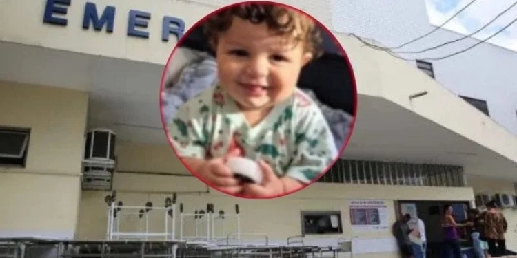 TRAGÉDIA NO RIO: BEBÊ DE 10 MESES MORRE APÓS ATAQUE DE PITBULL