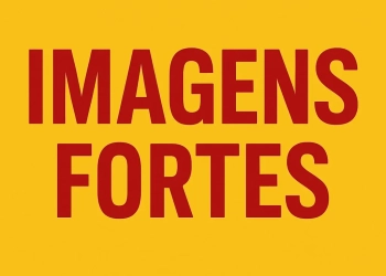 ( IMAGENS FORTES) Polícia Civil descobre cemitério clandestino do Comando Vermelho em comunidade do Rio