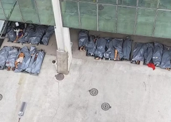 Todos os 117 mortos na megaoperação da Penha e do Alemão são identificados e liberados para sepultamento