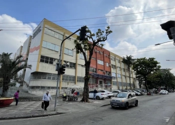 Menino de 5 anos morre após ataque brutal de pitbull no Rio