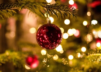 TRAGÉDIA NO ALTO: IDOSO MORRE AO CAIR DO 15º ANDAR ENQUANTO INSTALAVA LUZES DE NATAL