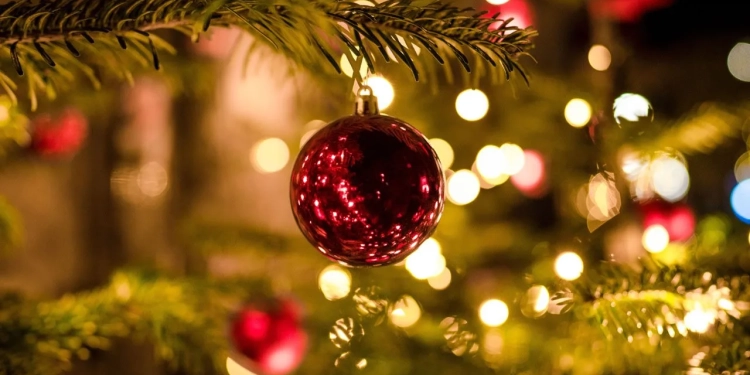 TRAGÉDIA NO ALTO: IDOSO MORRE AO CAIR DO 15º ANDAR ENQUANTO INSTALAVA LUZES DE NATAL