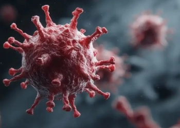 PRÓXIMA PANDEMIA ESTÁ CHEGANDO!!E PODE SER PIOR QUE A COVID-19 E MILHÕES, ALERTA ESPECIALISTA