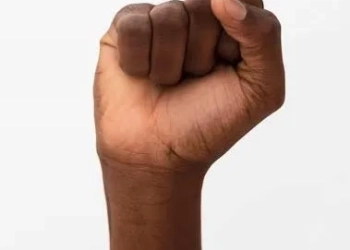 SC APROVA FIM DAS COTAS RACIAIS NAS UNIVERSIDADES ESTADUAIS E GERA ONDA DE REAÇÕES EM TODO O PAÍS