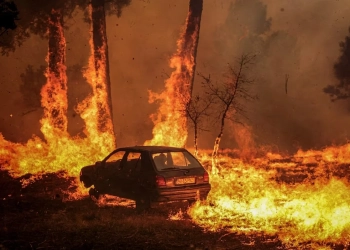 2025 À BEIRA DO RECORDE: CALOR EXTREMO FAZ ANO SE APROXIMAR DO 2º MAIS QUENTE DA HISTÓRIA