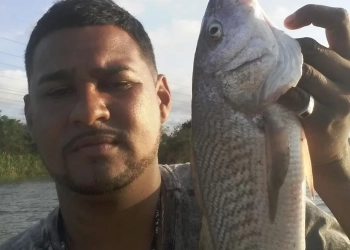 COVARDIA NA ZONA OESTE!! TRAFICANTES DO COMANDO VERMELHO MATAM UM TRABALHADOR EM SANTA CRUZ!!