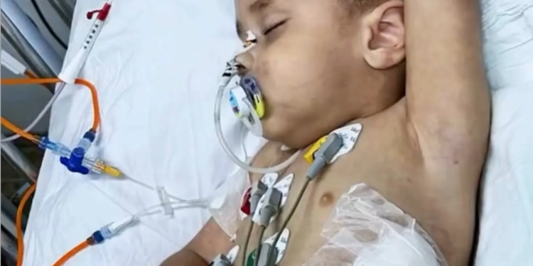 Pai é preso após desviar R$ 113 mil de doações para tratamento do próprio filho e gastar tudo no tigrinho