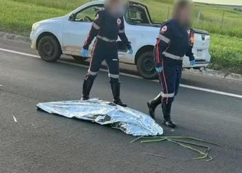 Declarada morta no asfalto, mulher “volta à vida” após atropelamento em Bauru e recebe alta da UTI