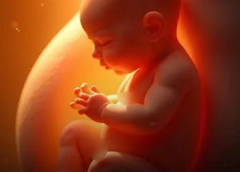 BRASIL ENTRA PARA A HISTÓRIA: OMS RECONHECE FIM DA TRANSMISSÃO DO HIV DE MÃE PARA FILHO