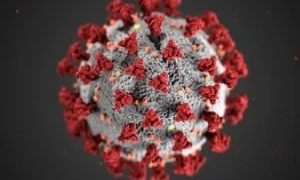 NOVA VARIANTE DA COVID-19 SE ESPALHA PELO MUNDO E ACENDE ALERTA GLOBAL