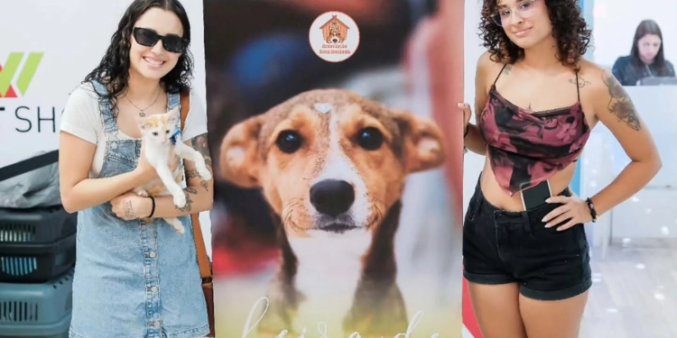 Campanha de Adoção Pet no West Shopping em Campo Grande 