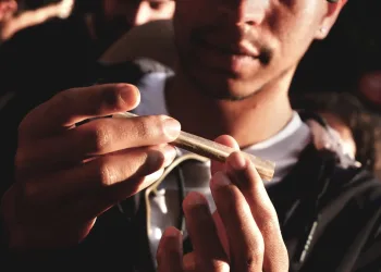 ALERTA CIENTÍFICO: USO DE MACONHA NA ADOLESCÊNCIA PODE FREAR DESENVOLVIMENTO DO CÉREBRO
