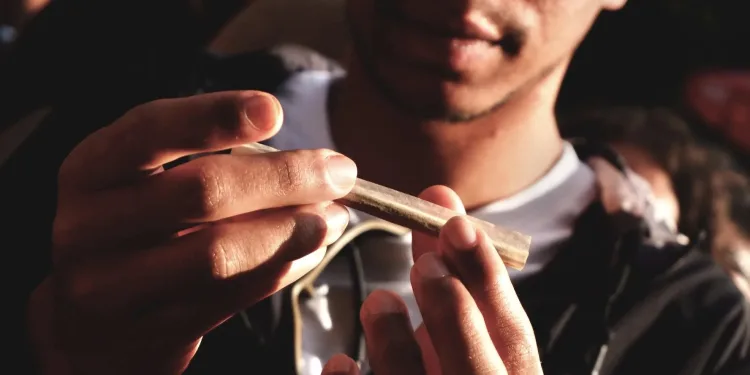 ALERTA CIENTÍFICO: USO DE MACONHA NA ADOLESCÊNCIA PODE FREAR DESENVOLVIMENTO DO CÉREBRO