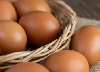 Estudo revela que comer ovos pode reduzir em 27% o risco de Alzheimer