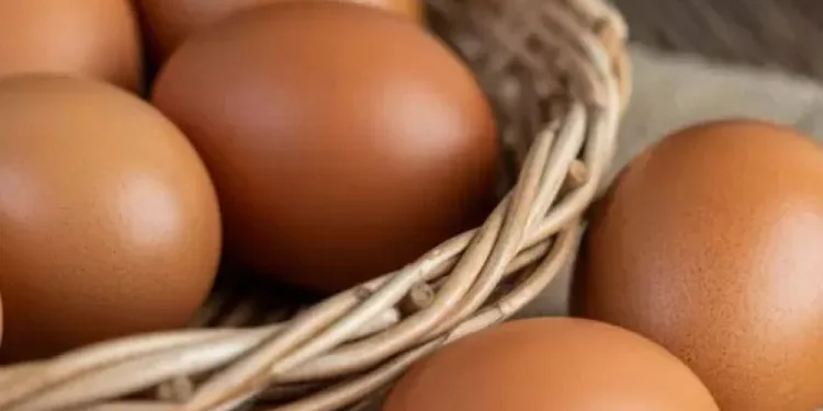 Estudo revela que comer ovos pode reduzir em 27% o risco de Alzheimer