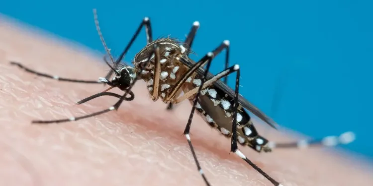 ALERTA MÁXIMO: Vacina contra a dengue é suspensa após mortes sob investigação e dezenas de reações graves