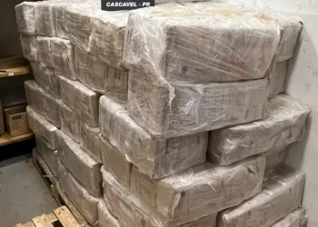 POLÍCIA FEDERAL FRUSTRA ESQUEMA CRIMINOSO E APREENDE CARGA MILIONÁRIA DE MACONHA DESTINADA AO RIO
