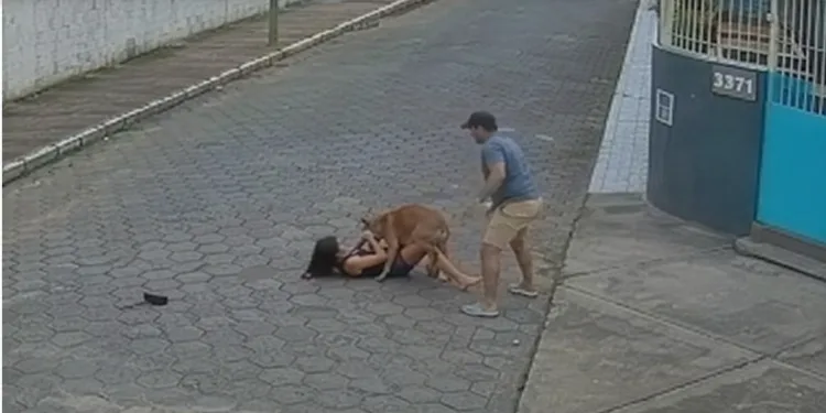 ( IMAGENS FORTES) ATAQUE DE PITBULL DEIXA JOVEM EM ESTADO GRAVE