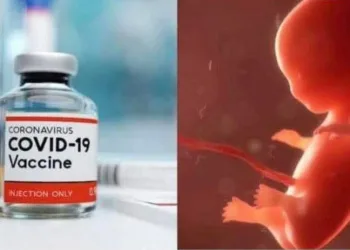 Verdade Sobre a COVID Está Prestes a Explodir!! Relatório Chocante Aponta Suposto Esquema Bilionário e Gera Pânico nos EUA