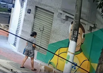 Mulher é flagrada novamente passando fezes em imagem de Bolsonaro e caso vai parar na polícia