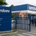 AMBEV ABRE 394 VAGAS DE EMPREGO E 40 OPORTUNIDADES SÃO PARA O RIO DE JANEIRO; VEJA COMO SE CANDIDATAR