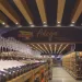 Guanabara tem diversas opções de vinhos para presentear o seu pai. Descubra como escolher o que mais combina com ele
