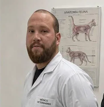 FALSO VETERINÁRIO É PRESO EM FLAGRANTE ENQUANTO OPERAVA GATO EM CLÍNICA NO RIO