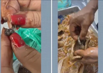 Drogas em presídio escondidas em porções de feijão e carne.