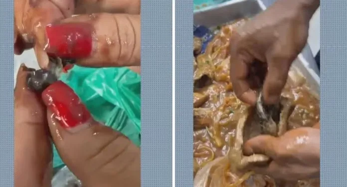 Drogas em presídio escondidas em porções de feijão e carne.