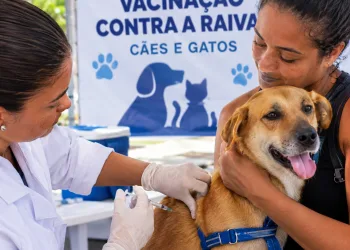 ATENÇÃO, TUTORES! CAMPO GRANDE TERÁ DIA DE VACINAÇÃO CONTRA A RAIVA PARA CÃES E GATOS