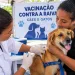 ATENÇÃO, TUTORES! CAMPO GRANDE TERÁ DIA DE VACINAÇÃO CONTRA A RAIVA PARA CÃES E GATOS