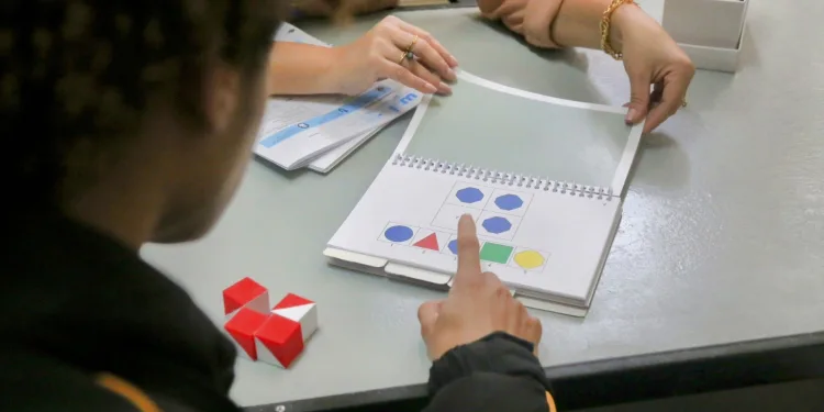 Autismo em adultos: avaliação especializada em unidade estadual de saúde.