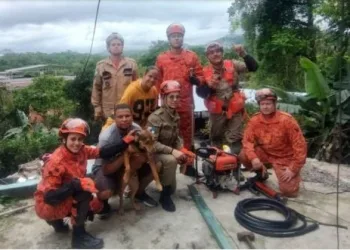 Resgate de cachorro retirado com vida dos escombros em Niterói.