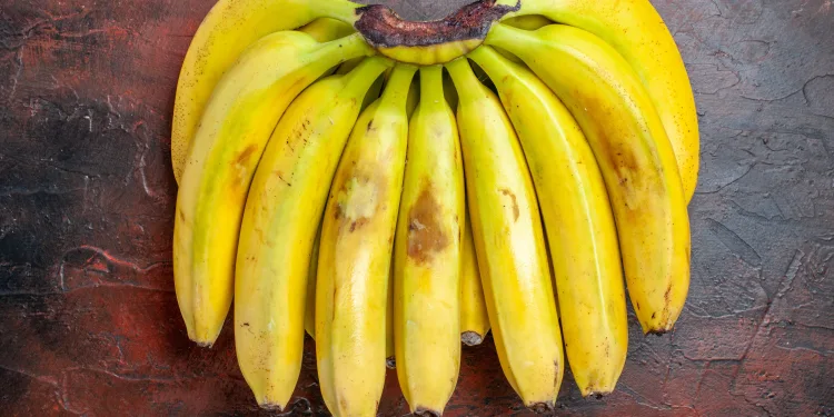 Conservar bananas com papel-toalha em um recipiente na geladeira.